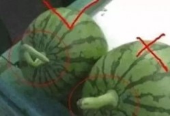 网红吃瓜名字大全搞笑,盘点那些搞笑又好听的昵称大盘点