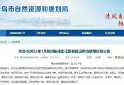 胶州最新爆料新闻,揭秘事件背后真相