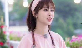 杨紫吃瓜爆料最新消息,娱乐圈惊天大瓜，揭秘明星背后真相