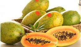 实现最快最全免费吃瓜,揭秘最快最全的吃瓜攻略