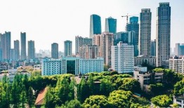 武汉城建最新爆料,未来城市蓝图大揭秘
