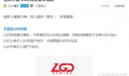 爆料博主熊猫视频大全,揭秘网红博主幕后故事