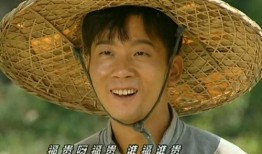 福贵电视剧在线观看,命运起伏的人生传奇